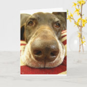 ドイツの短いポインタの鼻 カード (黄色い花)