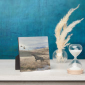 ドイツの短いポインタープラーク フォトプラーク (インサイチュ)