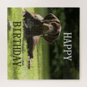 ドイツの短いポインタ誕生日 ジグソーパズル (横)