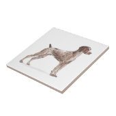 ドイツの短いポインタ タイル (側面)