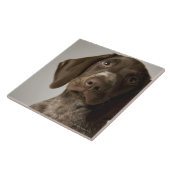 ドイツの短い髪のポインターの子犬 タイル (側面)