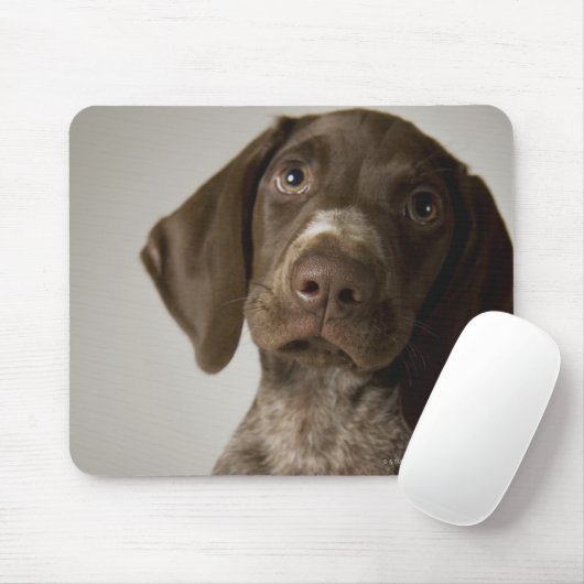 ドイツの短毛のポインタの子犬 マウスパッド (マウス)