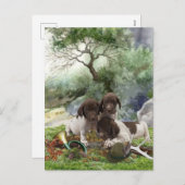 ドイツの短編ポインタかわいい子犬 シーズンポストカード (正面/裏面)