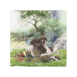 ドイツの短編ポインタかわいい子犬 メタルプリント