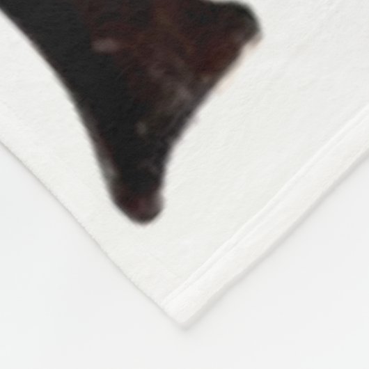 ドイツの第二次世界大戦の武器 フリースブランケット (角)