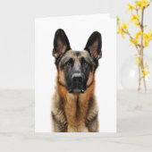 ドイツの羊飼いが座る カード (黄色い花)