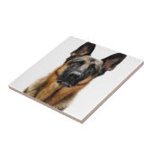 ドイツの羊飼いが座る タイル (側面)