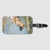 ドイツの羊飼いが水に飛び込む ラゲッジタグ (正面横)