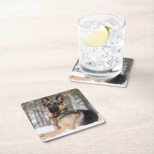 ドイツの羊飼いが雪の中で スクエアペーパーコースター (インサイチュ)