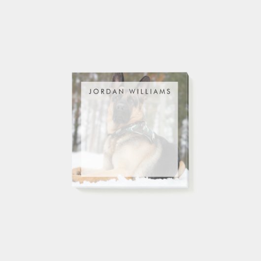 ドイツの羊飼いが雪の中で ポストイット (正面)