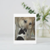 ドイツの羊飼いと子猫の友人 ポストカード (スタンド正面)