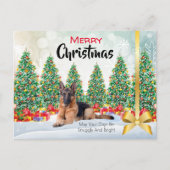 ドイツの羊飼いのクリスマスの挨拶 シーズンポストカード (正面)