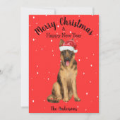 ドイツの羊飼いのクリスマス シーズンカード (正面)