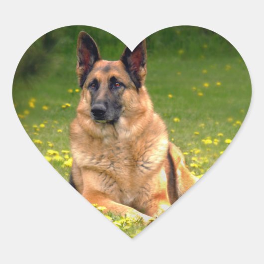 ドイツの羊飼いのステッカー ハートシール (正面)