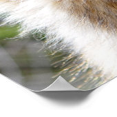 ドイツの羊飼いのヘッドショット ポスター (角)