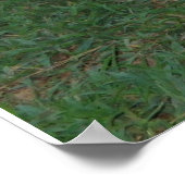 ドイツの羊飼いのポスター ポスター (角)