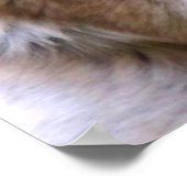 ドイツの羊飼いのポスター ポスター (角)