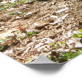 ドイツの羊飼いのポスター ポスター (角)