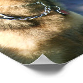 ドイツの羊飼いのポスター ポスター (角)