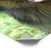 ドイツの羊飼いのポスター ポスター (角)