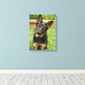 ドイツの羊飼いのポートレート キャンバスプリント (インサイチュ (ウッドフロア))