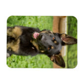 ドイツの羊飼いのポートレート マグネット (横)