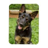 ドイツの羊飼いのポートレート マグネット (縦)