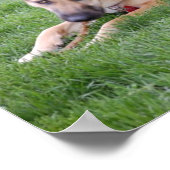 ドイツの羊飼いのユーモア ポスター (角)