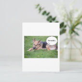 ドイツの羊飼いのユーモア ポストカード (スタンド正面)