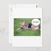 ドイツの羊飼いのユーモア ポストカード (正面/裏面)