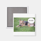 ドイツの羊飼いのユーモア マグネット (正面/裏面)