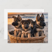 ドイツの羊飼いの子犬がいっぱい入ったバスケット ポストカード (正面/裏面)