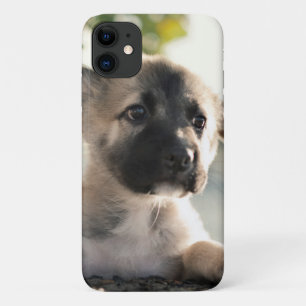 ドイツの羊飼いの子犬がレッジの上に iPhone 11 ケース