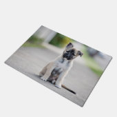 ドイツの羊飼いの子犬が歩道に ドアマット (アングル)