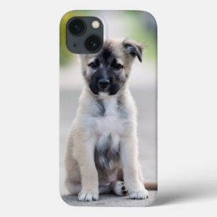 ドイツの羊飼いの子犬が歩道に iPhone 13ケース