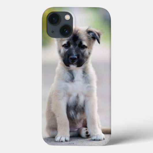 ドイツの羊飼いの子犬が歩道に Case-Mate iPhoneケース (裏面)