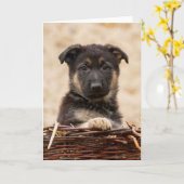 ドイツの羊飼いの子犬が籠に入っている カード (黄色い花)