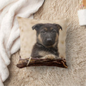 ドイツの羊飼いの子犬が籠に入っている クッション (ブランケット)