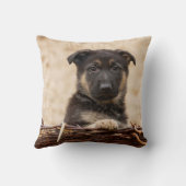 ドイツの羊飼いの子犬が籠に入っている クッション (裏面)