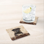 ドイツの羊飼いの子犬が籠に入っている スクエアペーパーコースター (インサイチュ)