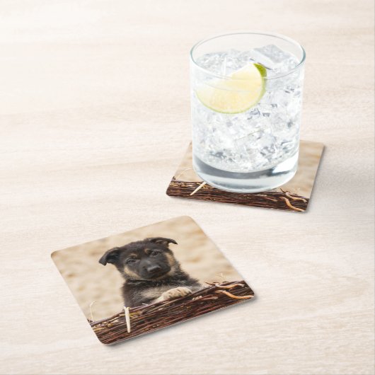 ドイツの羊飼いの子犬が籠に入っている スクエアペーパーコースター (インサイチュ)