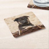 ドイツの羊飼いの子犬が籠に入っている スクエアペーパーコースター (アングル)