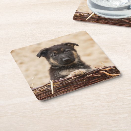 ドイツの羊飼いの子犬が籠に入っている スクエアペーパーコースター (アングル)