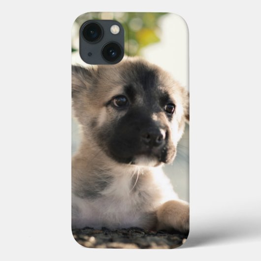 ドイツの羊飼いの子犬のレッジ Case-Mate iPhoneケース (裏面)