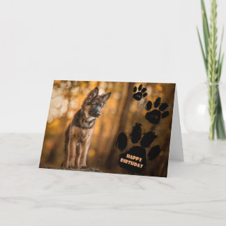ドイツの羊飼いの子犬の誕生日カード。 カード