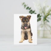 ドイツの羊飼いの子犬空白ののはがき ポストカード (スタンド正面)