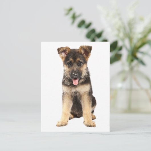 ドイツの羊飼いの子犬空白ののはがき ポストカード (スタンド正面)