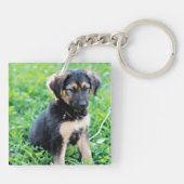 ドイツの羊飼いの子犬 キーホルダー (裏面)
