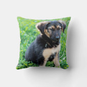 ドイツの羊飼いの子犬 クッション (裏面)