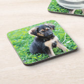 ドイツの羊飼いの子犬 コースター (左側)